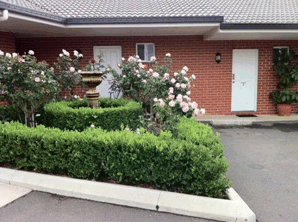 Akuna Motor Inn - Airlie Beach Holiday 4