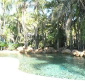 Bushland Beach Tavern - Airlie Beach Holiday