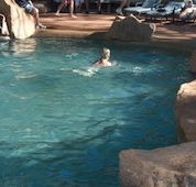 Undara Experience Lava Lodge - Airlie Beach Holiday
