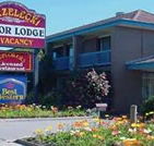 Strzelecki Motor Lodge - Airlie Beach Holiday