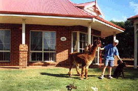 Brilea Cottages - Airlie Beach Holiday 0