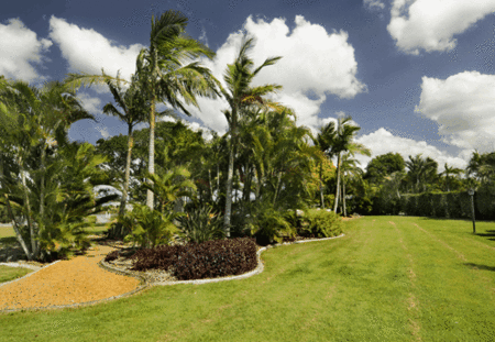 Mcnevins Loganholme - Airlie Beach Holiday 3