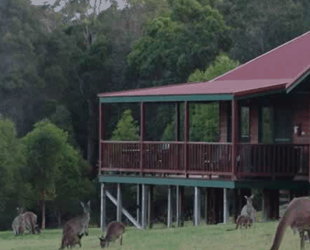 Walpole Wilderness Resort - Airlie Beach Holiday