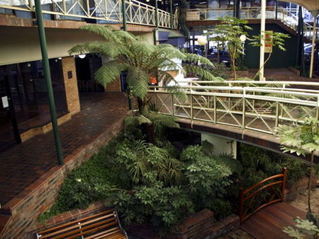 Mayfair Plaza Motel - Airlie Beach Holiday 3