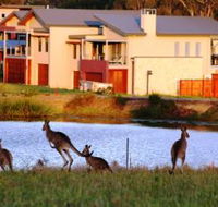 Grand Mercure The Vintage Hunter Valley - Airlie Beach Holiday