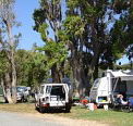 Elliston Caravan Park - Airlie Beach Holiday