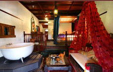 Casuarina Country Inn - Airlie Beach Holiday 3
