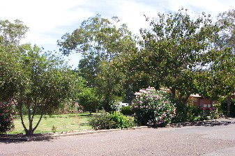 Colonial Inn Tamworth - Airlie Beach Holiday 4