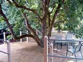 Magnolia House Marysville - Airlie Beach Holiday 0