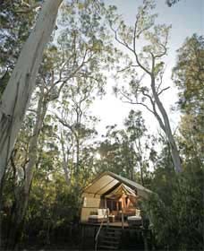 Paperbark Camp - Airlie Beach Holiday 0