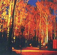 Dwellingup Chalet amp Caravan Park