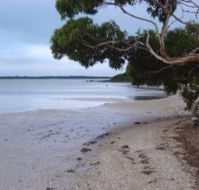 Stanley Lakeside Spa Cabins - Airlie Beach Holiday