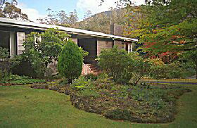 Fern Tree TAS Airlie Beach Holiday