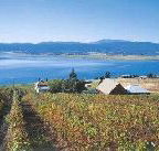 Marions Vineyard  - Airlie Beach Holiday