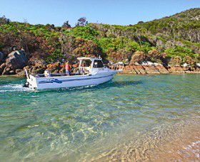 Hat Head NSW Airlie Beach Holiday