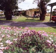 Brigadoon Holiday Units - Airlie Beach Holiday