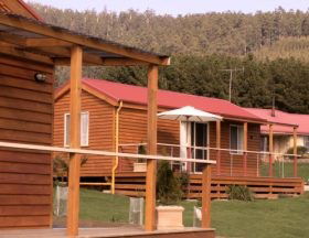 Maydena Country Cabins And Alpacas - Airlie Beach Holiday 0