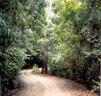 Mt Glorious Getaway Cottages And Conference Centre - Airlie Beach Holiday
