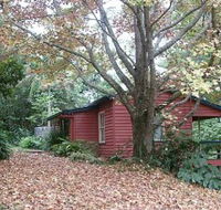 Turkeys Nest Rainforest Cottage - Airlie Beach Holiday