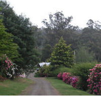 Mountain Rivers Lodge - Airlie Beach Holiday