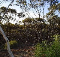 Lions Dryandra Woodlands Village - Airlie Beach Holiday