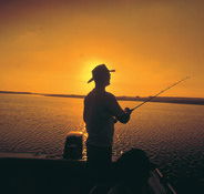 Point Stuart Wilderness Lodge - Airlie Beach Holiday