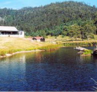 Millybrook Lodge - Airlie Beach Holiday