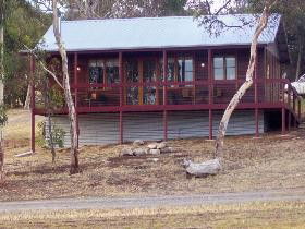 Ivybrook Vineyard Cottage - Airlie Beach Holiday 0