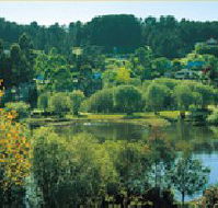Possum Cottage On The Lake - Airlie Beach Holiday