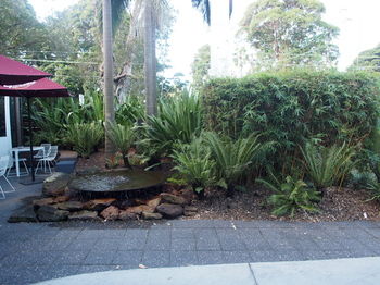 Hotel Urban St Leonards - Airlie Beach Holiday 101