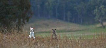 Emirates One&Only Wolgan Valley Australia - Airlie Beach Holiday 31