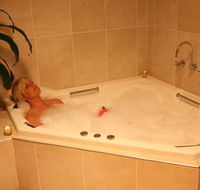 Lavender House BampB - Airlie Beach Holiday