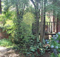Storey Grange - Airlie Beach Holiday