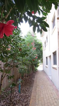Waldorf Hornsby Residential Apartments - Airlie Beach Holiday 8