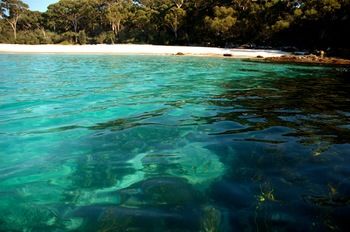 Worrowing At Jervis Bay - Airlie Beach Holiday 98