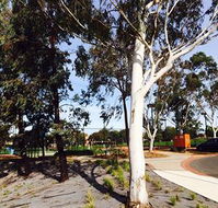 Box Hill Studios at Canterbury Gardens - Airlie Beach Holiday