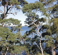 The Edgewater Bed amp Breakfast - Airlie Beach Holiday