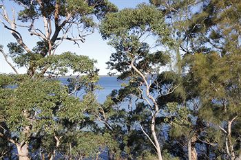 The Edgewater Bed & Breakfast - Airlie Beach Holiday 0