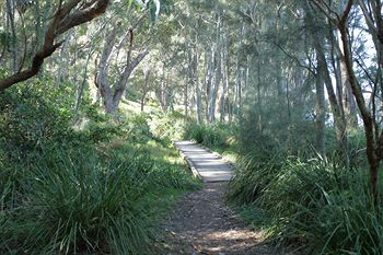 The Edgewater Bed & Breakfast - Airlie Beach Holiday 21