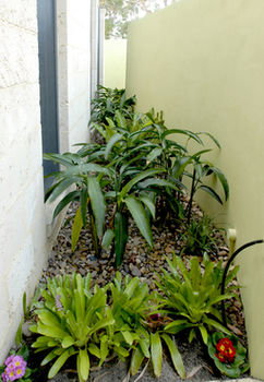 By The Beach B&B And Apartments - Airlie Beach Holiday 5