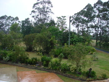 Clarence River Bed & Breakfast - Airlie Beach Holiday 23