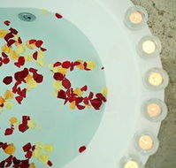 Avoca Valley Bed amp Breakfast - Airlie Beach Holiday