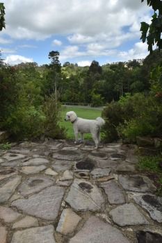 Coverdales B & B At Eumundi - Airlie Beach Holiday 23