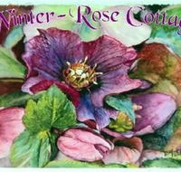 A Winter-rose Cottage BampB - Airlie Beach Holiday