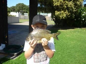 Edgewater Motel Ulladulla - Airlie Beach Holiday 10