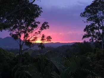Phoenix Eumundi Bed & Breakfast - Airlie Beach Holiday 17