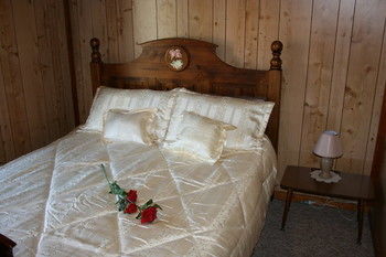 A Settler's Cottage - Airlie Beach Holiday 13