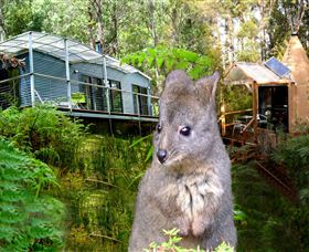 Huon Bush Retreats - Airlie Beach Holiday 0