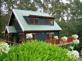 Tree Tops Cascades - Airlie Beach Holiday 0