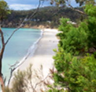 Weilangta Holiday Home - Airlie Beach Holiday
